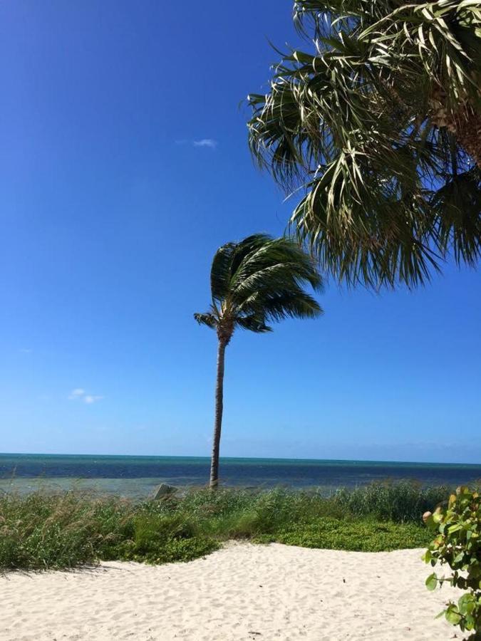 Apartment Paradise Found A111